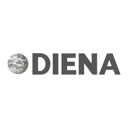 Diena logo with a stylized globe on a white background