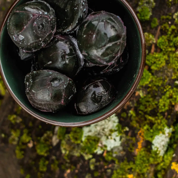Fresh, frozen spirulina pods in a green bowl on a mossy surface