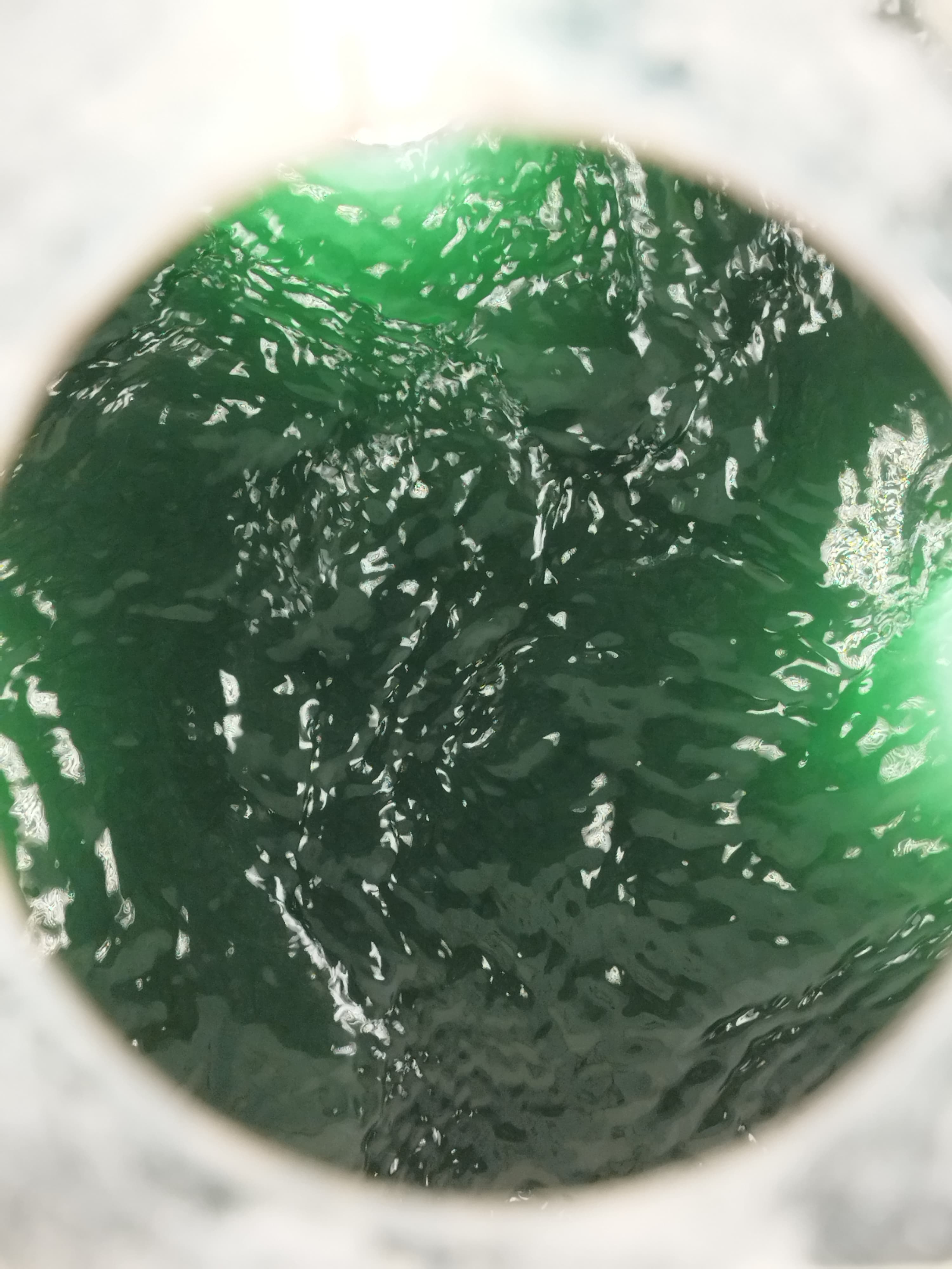 Close-up of dark green spirulina inside a bioreactor