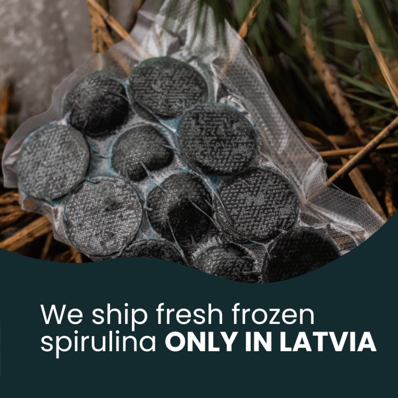 Fresh Frozen Spirulina
