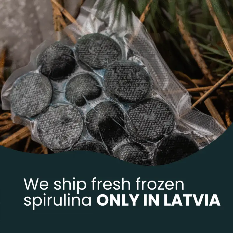Fresh Frozen Spirulina