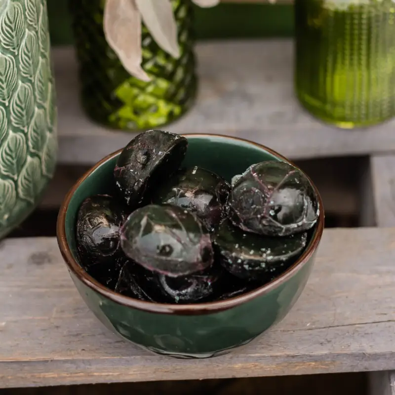 Fresh Frozen Spirulina - Image 4