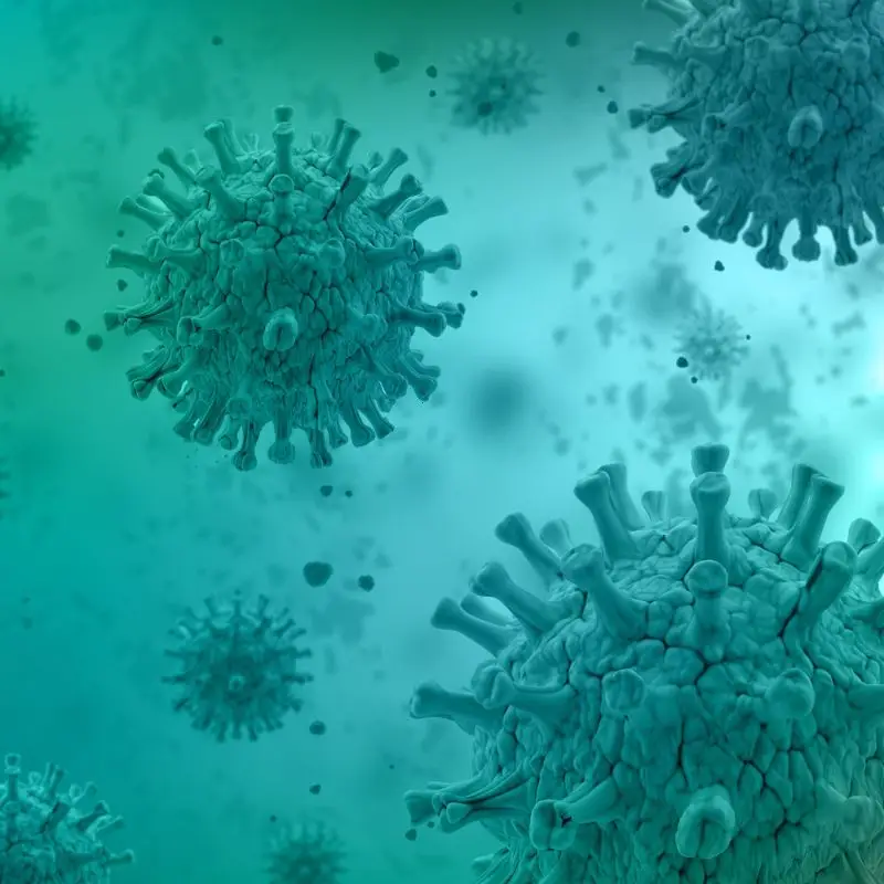 spirulina against virus