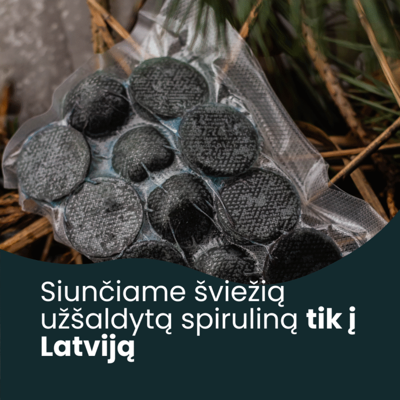 Šviežia šaldyta spirulina - Image 2